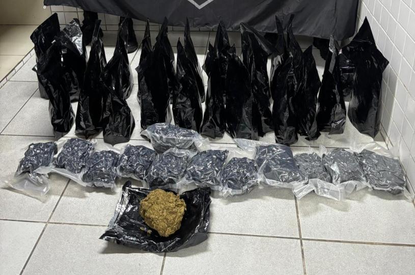 Guarda Civil Municipal da Serra apreende 20 quilos de skunk