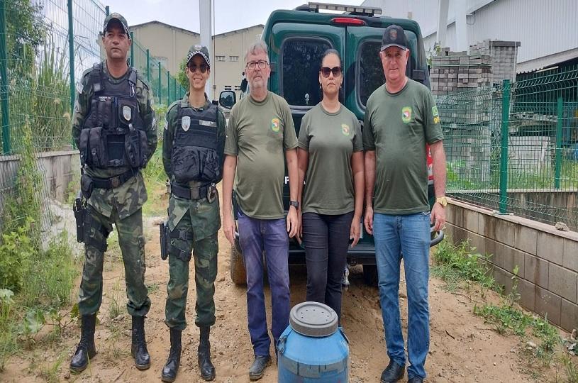 Fiscalização Ambiental resgata cobra jibóia de dois metros