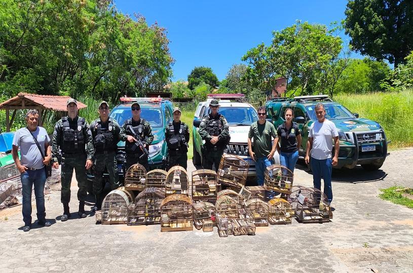 Fiscalização apreende aves e aplica multa em Vila Nova de Colares